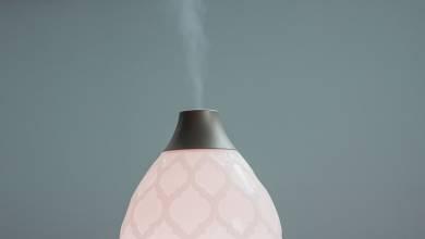 5 Perks of Aromatherapy for Pregnancy