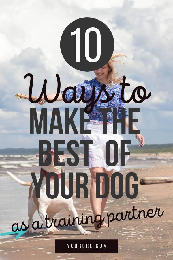 Who doesn't love their dog? Dogs provide us with companionship and unconditional love and are great training partners. If you're looking to get the most out of your dog as a training partner, check out these tips!