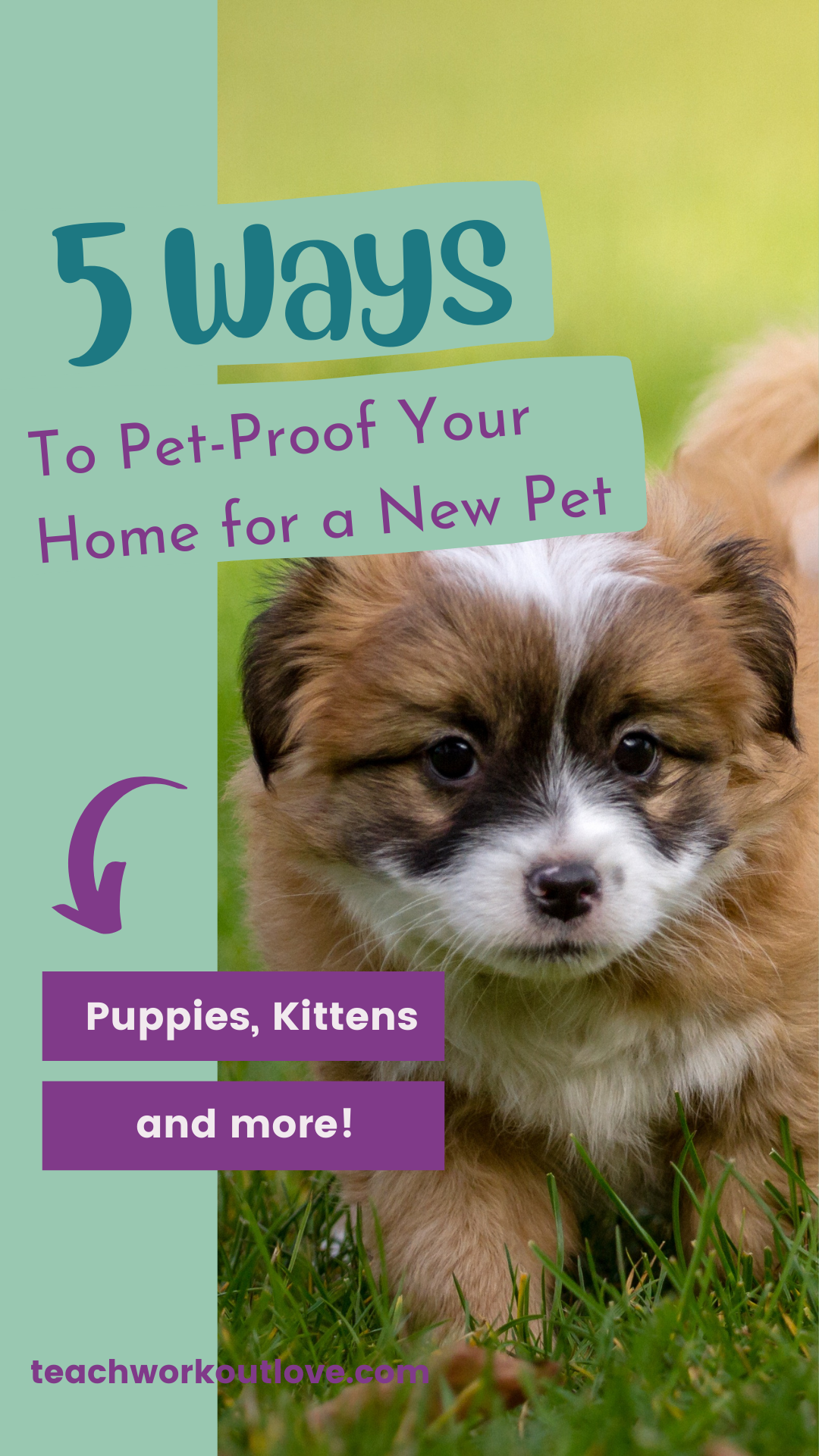 In this article, we’re going to be taking a look at some of the ways that you can pet-proof your home, so keep reading down below if you would like to find out more.