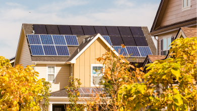 Why Solar Panels are Growing in Popularity for Homeowners