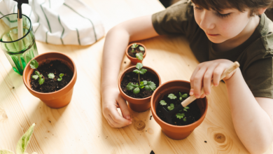 The Benefits of Teaching Your Kids About Organic Gardening
