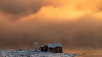 Home In Cold Weather