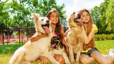 How to be the Best Possible Pet Owner in 2023