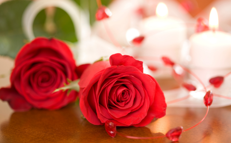 5 Fascinating Facts About Roses