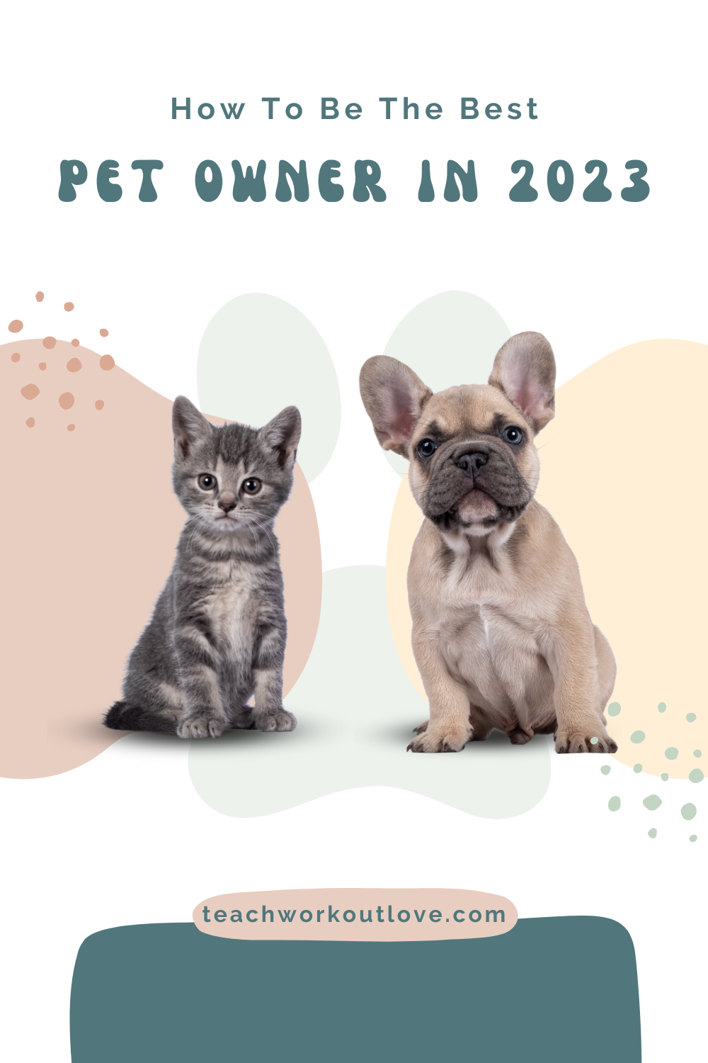 2023 brings a new year and a fresh start, and you can use this to take a new approach to the different areas of your life. One of the ones that matters the most is the way you treat your pet, and the approach you take to being a pet owner. This is something you need to approach in the best and most positive way possible, and there are a number of ways of achieving this.
