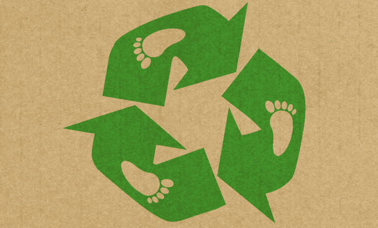 What You Can Do to Reduce Your Carbon Footprint