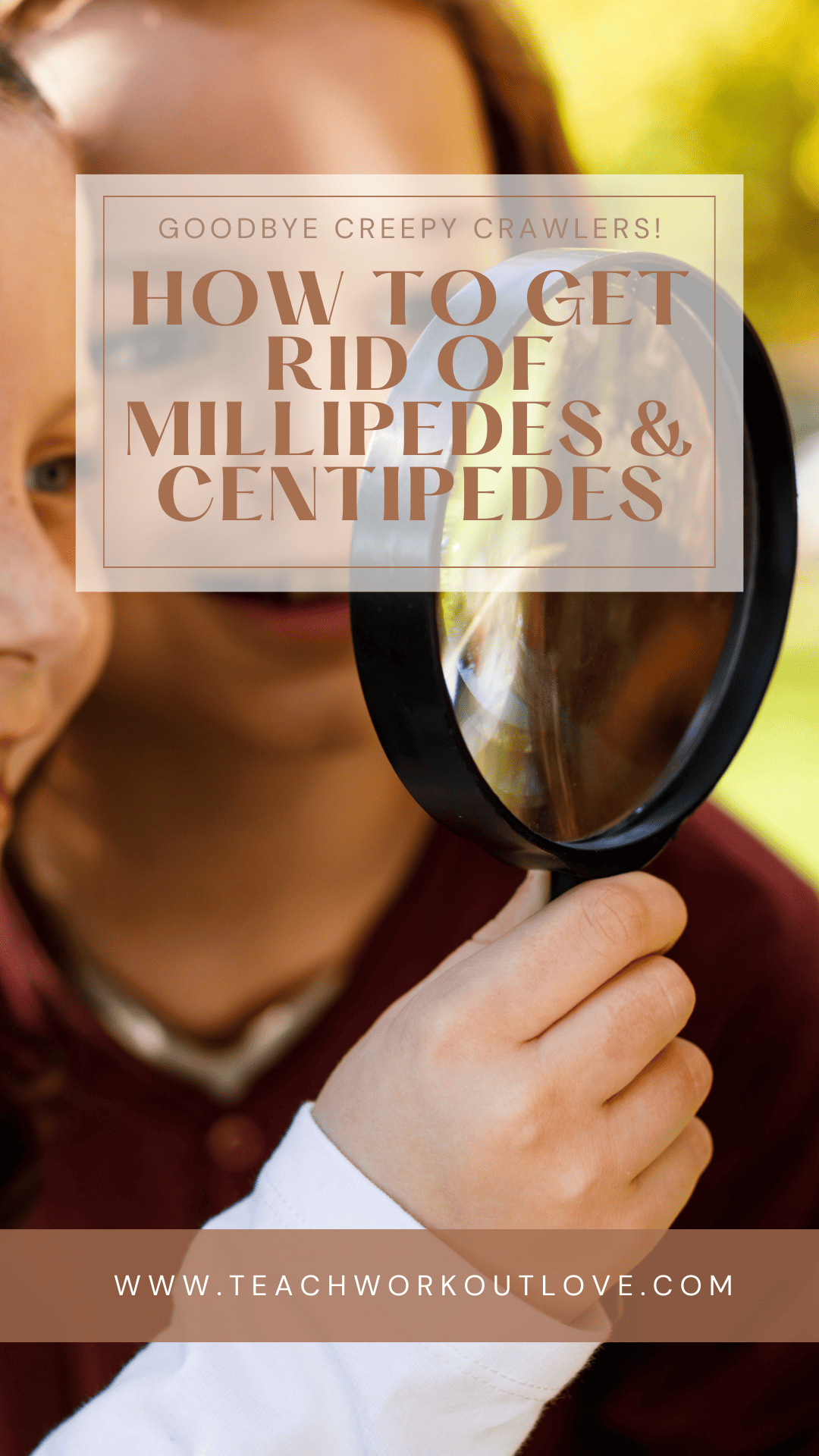 In this blog, we'll share some effective tips and tricks for dealing with these unwelcome guests. Whether you're dealing with a full-blown infestation or just a few stray insects, these tips will help you keep your home millipede and centipede-free.