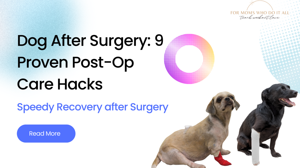 Dog After Surgery 9 Proven PostOp Care Hacks TWL