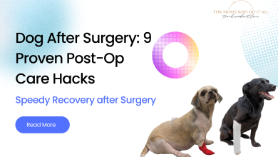 Dog After Surgery 9 Proven Post-Op Care Hacks TWL