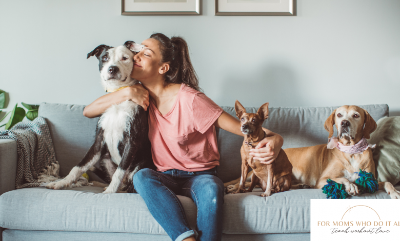 How to Choose the Right Pet for Your Lifestyle