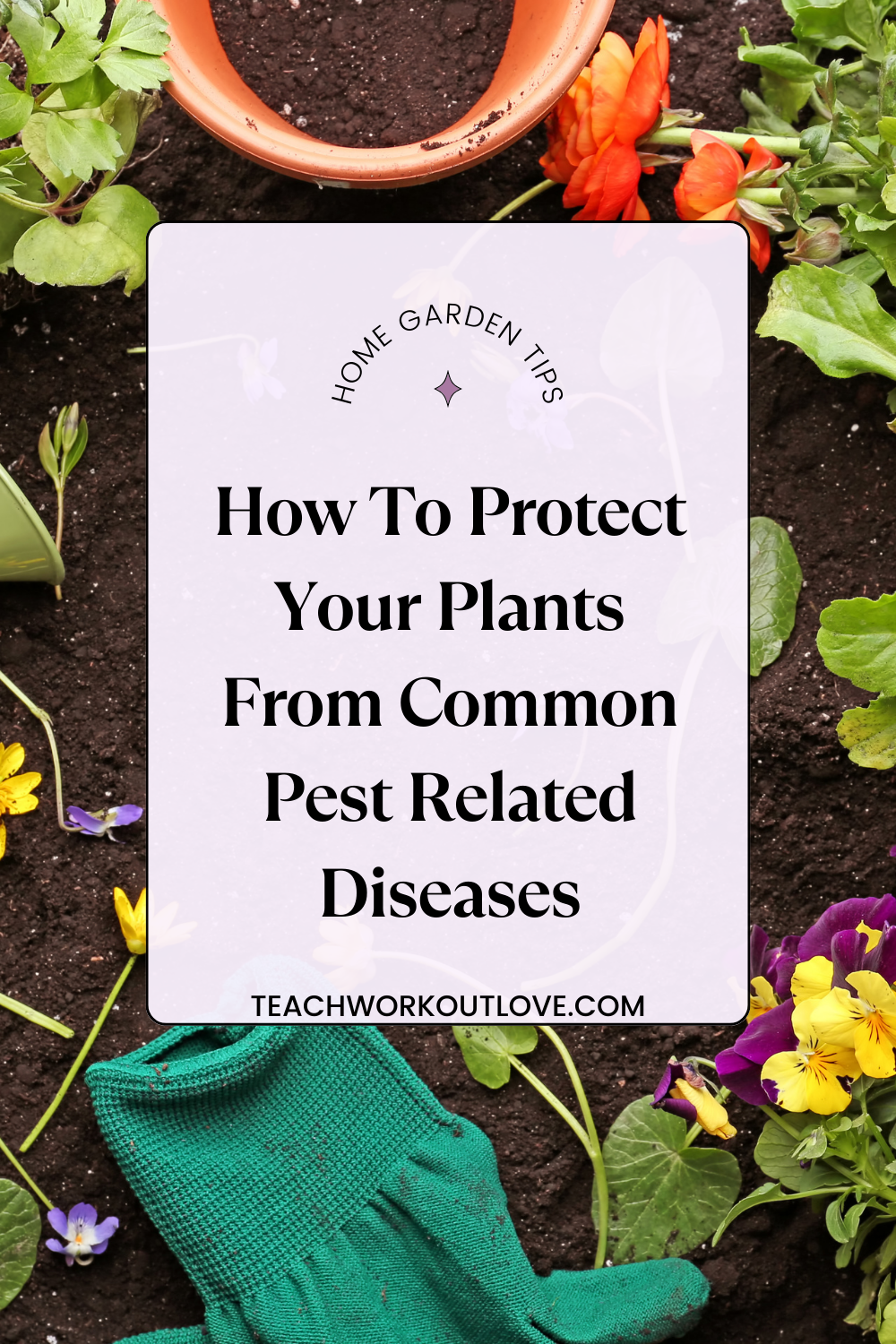 Below, we’ve covered some common pest-related plant diseases and how to protect your plants as much as possible with garden pest prevention methods.