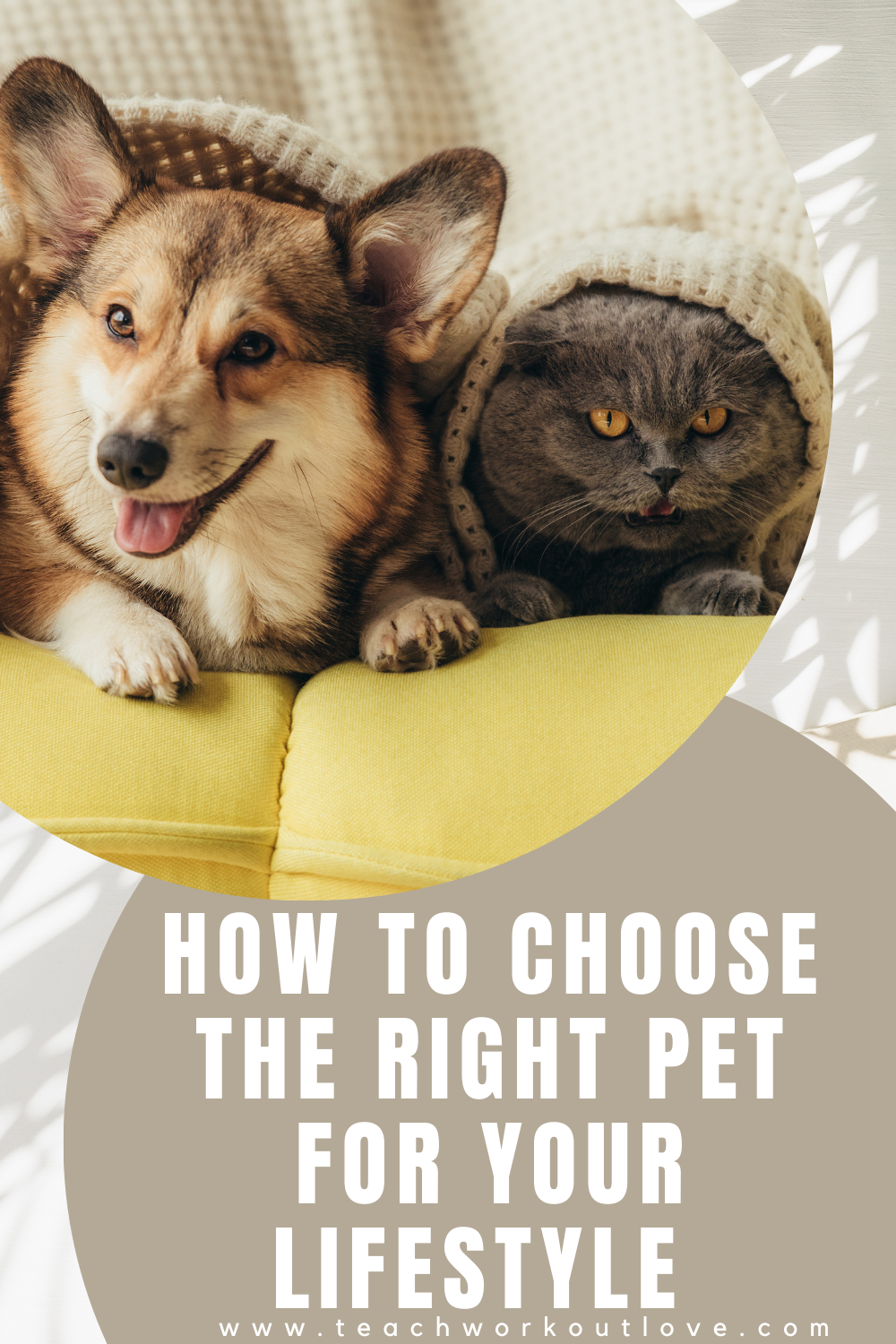 Whether you are a busy professional, a laid-back homebody, or an active adventurer who is always on the go, finding the right companion requires thoughtful consideration. Here are five considerations to help you select the perfect pet for your unique lifestyle.