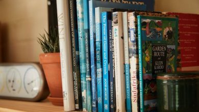 tips-for-studying-english-literatur-exams