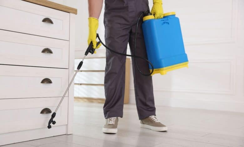 Common Myths About Termite Control That Cost Homeowners Money